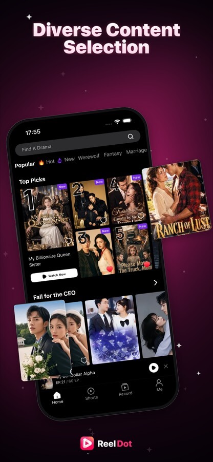 Top Picks and category shelves inside ReelDot